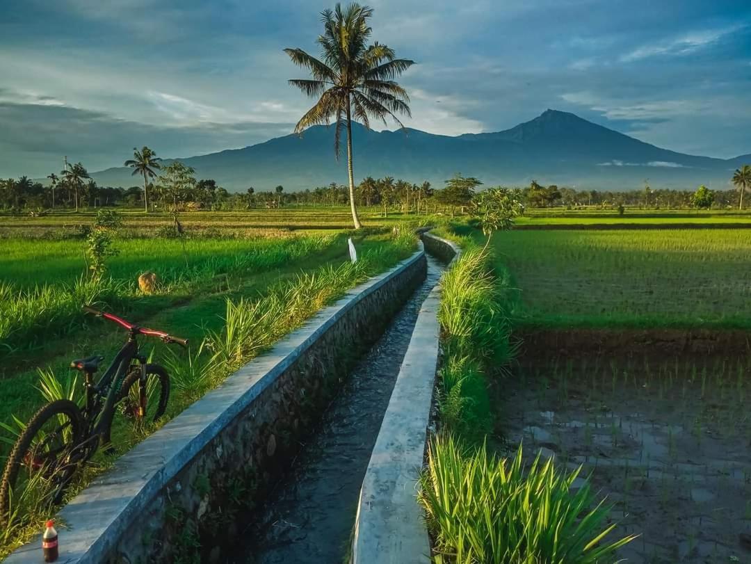 Peraja Bungalows Loyok Sangyang Pokój zdjęcie